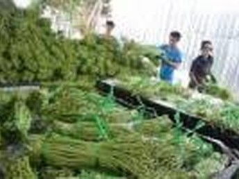 广州农副产品配送与膳食托管 一体化餐饮服务助力企业高效运营